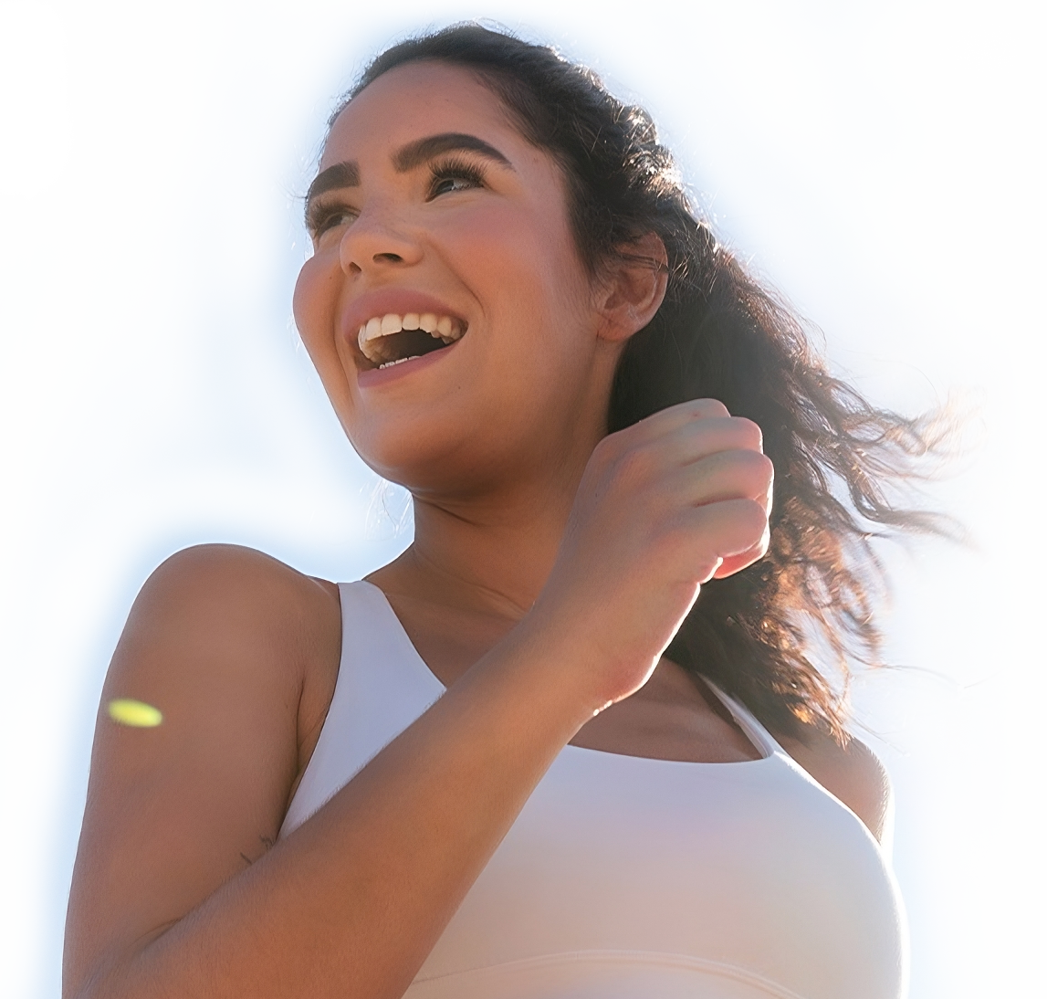 Banner image